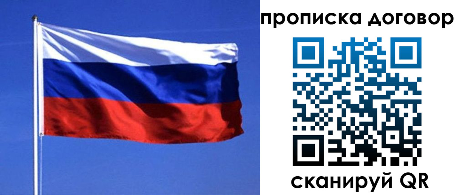 прописка поиск в Карелии